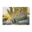 Мотоцикл KOVE 500F WILD