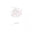 Опарыш хвостатый ZUB Maggot (Белый)