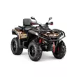 Квадроцикл AODES Pathcross ATV 650 L PRO EPS двухместный 2026 (Золотой,  )