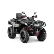 Квадроцикл AODES Pathcross ATV 650 L PRO EPS двухместный 2026 (Серебристый,  )