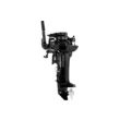 Мотор Parsun T9.9BMS-USB  ( )