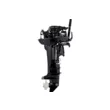 Мотор Parsun T9.9BMS-USB  ( )