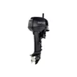 Мотор Parsun T9.9BMS-USB  ( )