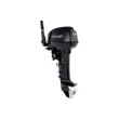 Мотор Parsun T9.9BMS-USB  ( )