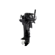Мотор Parsun T9.9BMS  ( )