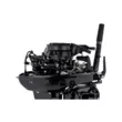 Мотор Parsun T9.9BMS  ( )