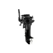 Мотор Parsun T9.9BMS  ( )