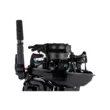 Мотор Parsun T9.9BMS  ( )