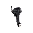 Мотор Parsun T9.9BMS  ( )