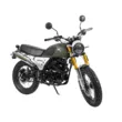 Мотоцикл Racer RC250CK-A Triumph (Темно-зеленый, , )
