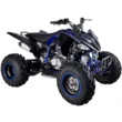 Квадроцикл Mikilon Rapide 250 S (Черный/Синий  )