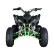 Квадроцикл Mikilon Rapide 250 S (Черный/зеленый  )
