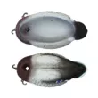 Чучело Sport Plast VB 01  Селезень, плавающее