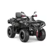 Квадроцикл AODES Pathcross ATV 650 L EPS двухместный (Серый, , , )