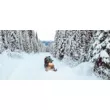 Снегоход SKI DOO Expedition SWT 900 ACE Turbo 2021