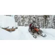 Снегоход SKI DOO Expedition SWT 900 ACE Turbo 2021