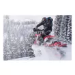Гусеницы Timbersled RIOT 120 LE