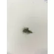 Мушка Черная Речка Вислокрылка Mustad