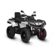 Квадроцикл AODES Pathcross ATV 800 L EPS двухместный 2025 (Белый,  )