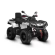 Квадроцикл AODES Pathcross ATV 1000 L EPS двухместный 2025 (Белый, стандартная )