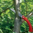 Пила складная Wolf Garten