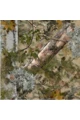 Костюм HRT THL HUNTER