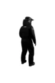 Комбинезон FXR Excursion с утеплителем мужской '22 (Char/Black M)